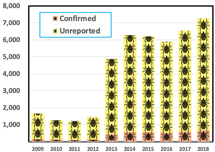 Rhode Island, according to data from the Centers for Disease Control and Prevention, has witnessed an increase in Lyme disease cases. (Roger Warburton/ecoRI News)