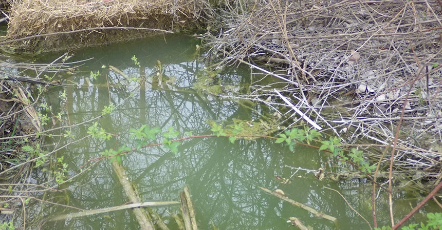In May 2018 inspectors from the Rhode Island Department of Environmental Management observed turbid water containing silt and sand at the quarry’s culvert discharge area. (DEM)