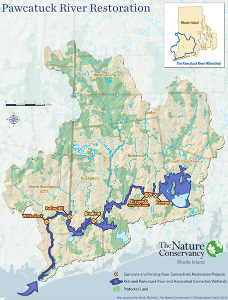 The Potter Hill Dam is the last significant barrier to migratory fish passage on the Pawcatuck River. Two dams have already been removed and fish passage improved at three others.