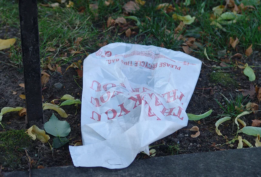 Senate Approves Bans On Plastic Bags And Straws Ecori News Senate Approves Bans On Plastic Bags And Straws Ecori News