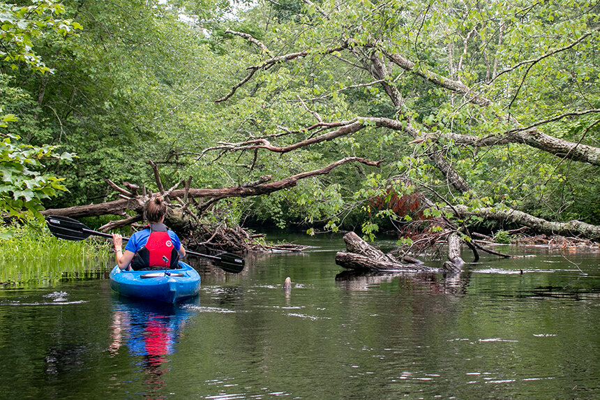 Kassi Donnelly paddles through a cleared opening in a downed tree along the Wood River.