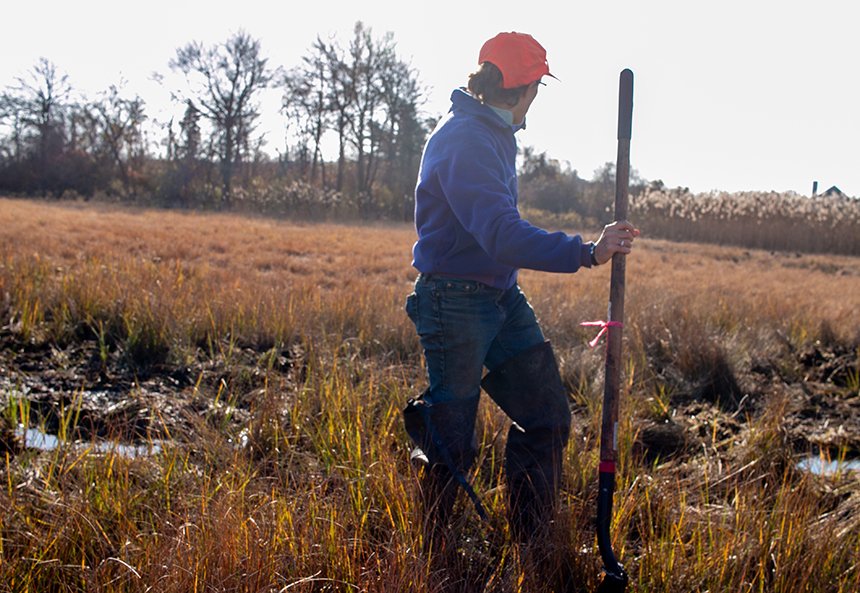 How to Move a Marsh: Work Continues to Save Sapowet Marsh