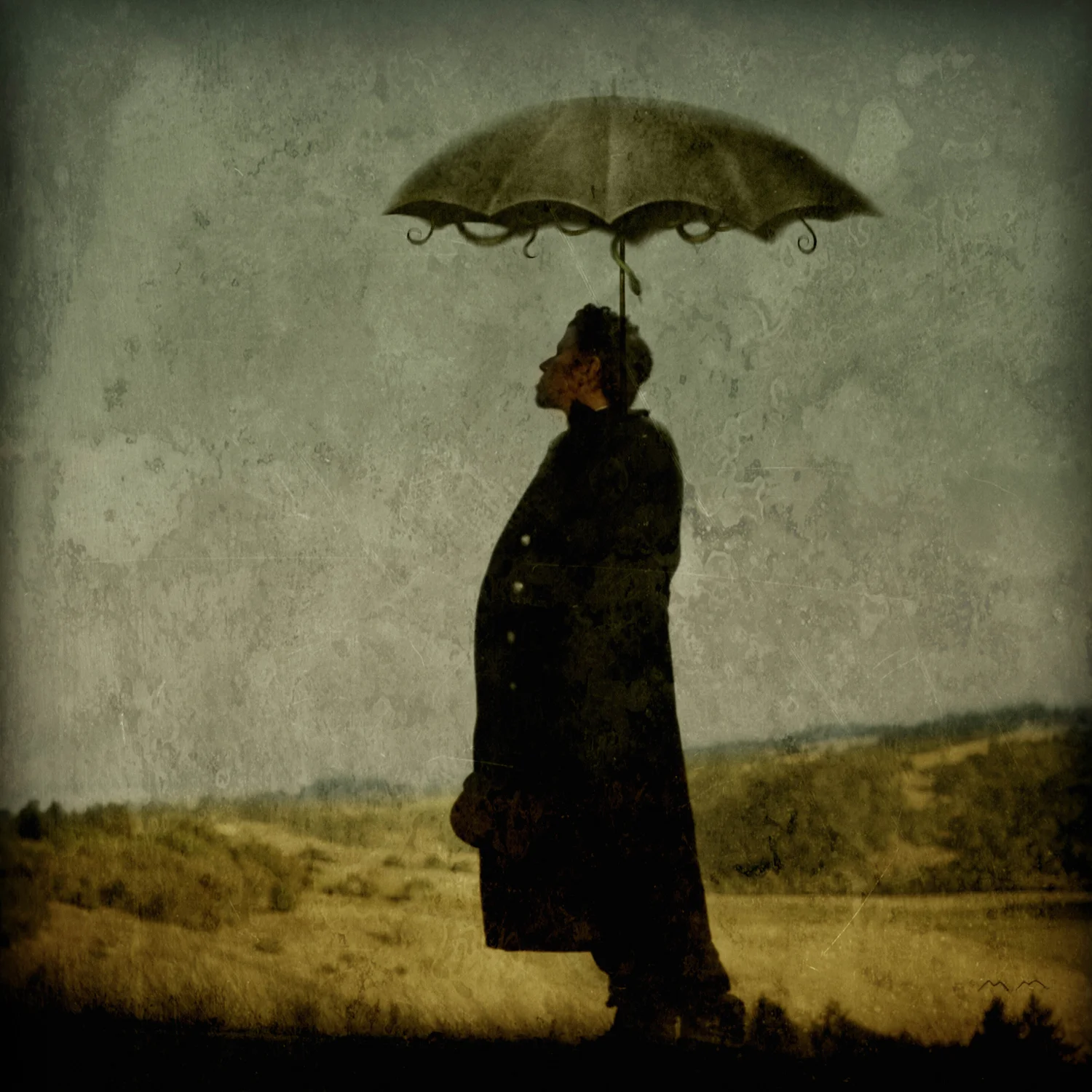 mule TOM UMBRELLA copy.jpg