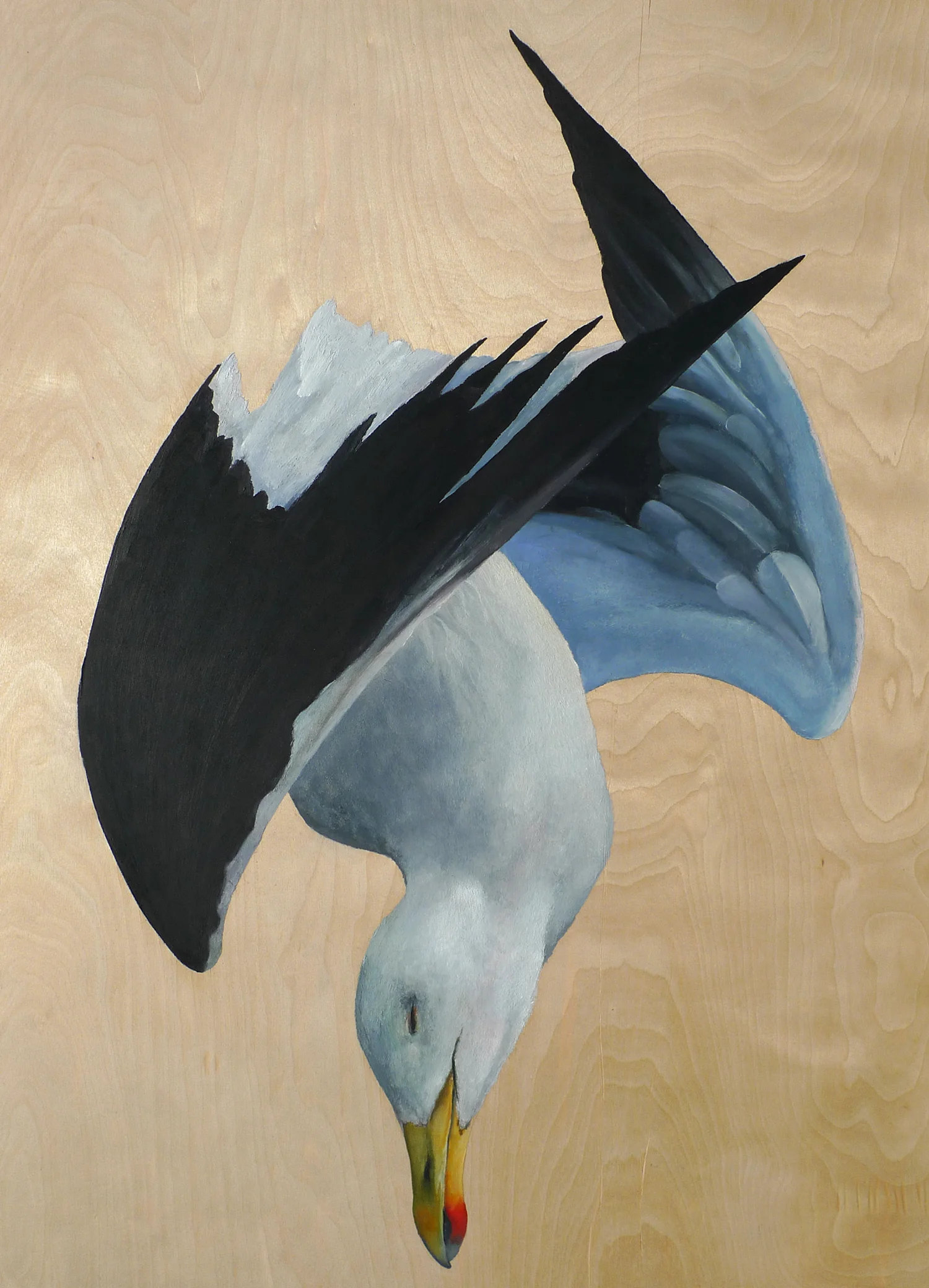seagull-mm.jpg
