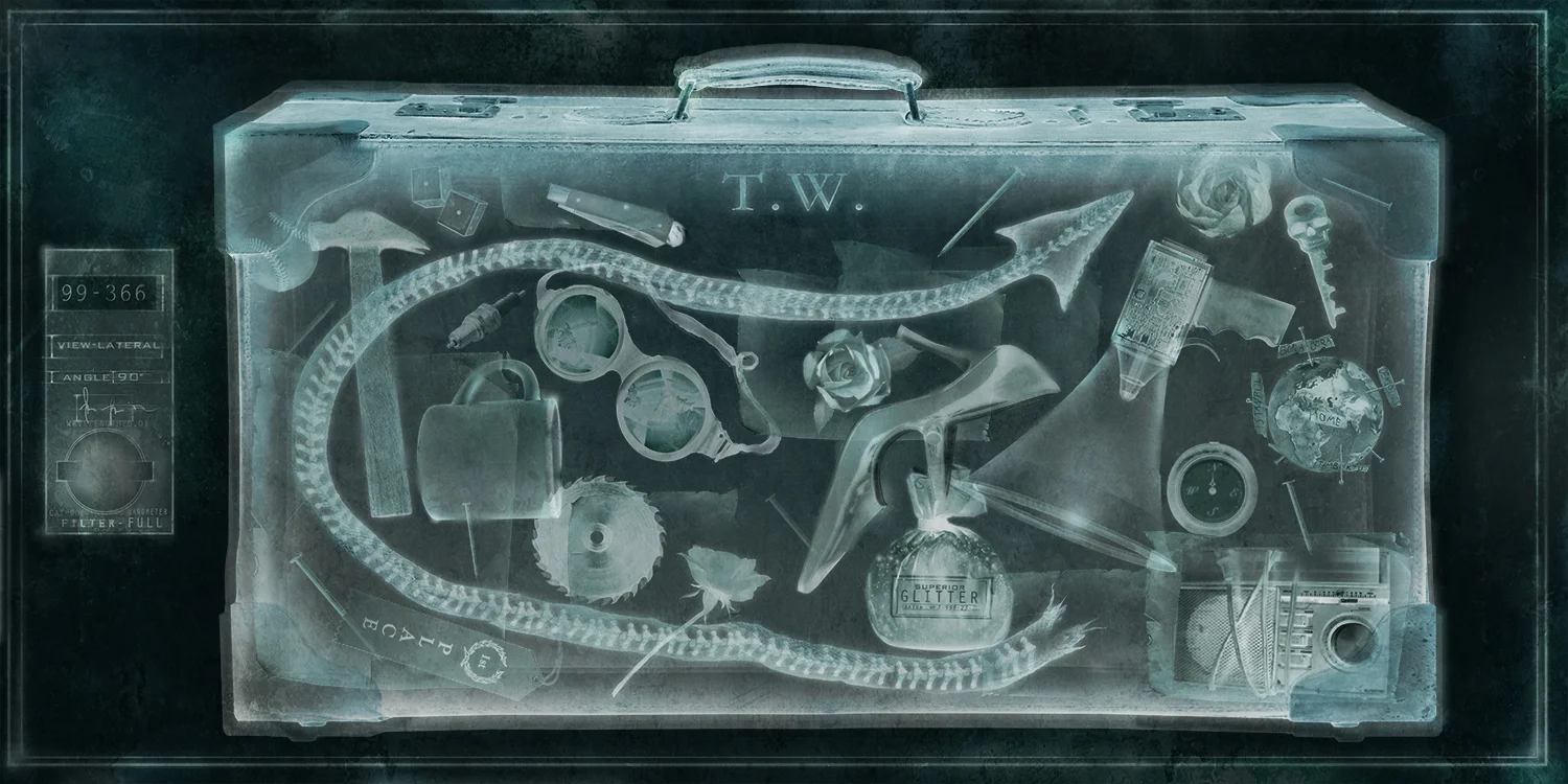 TOM SUITCASE-MM.COM.jpg