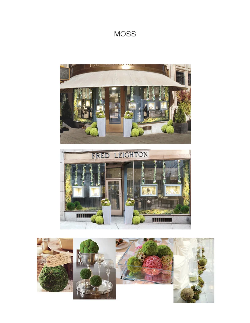 FLOWERS IN BLOOM.jpg