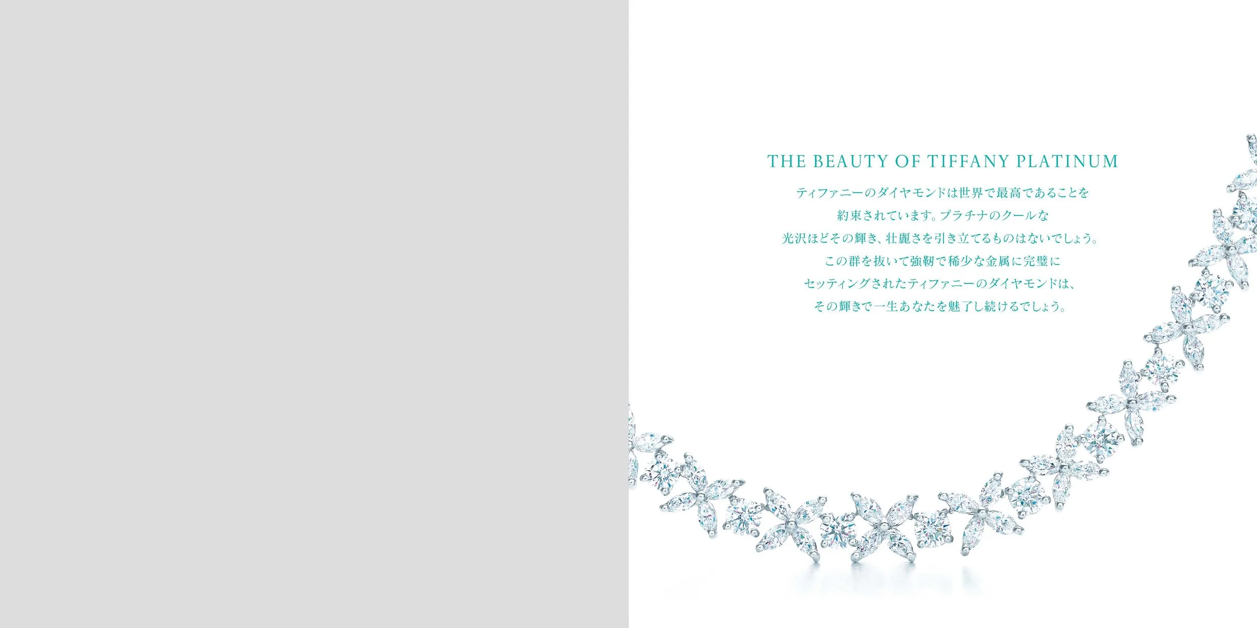 Japan Platinum Catalogue 2012_Page_02.jpg