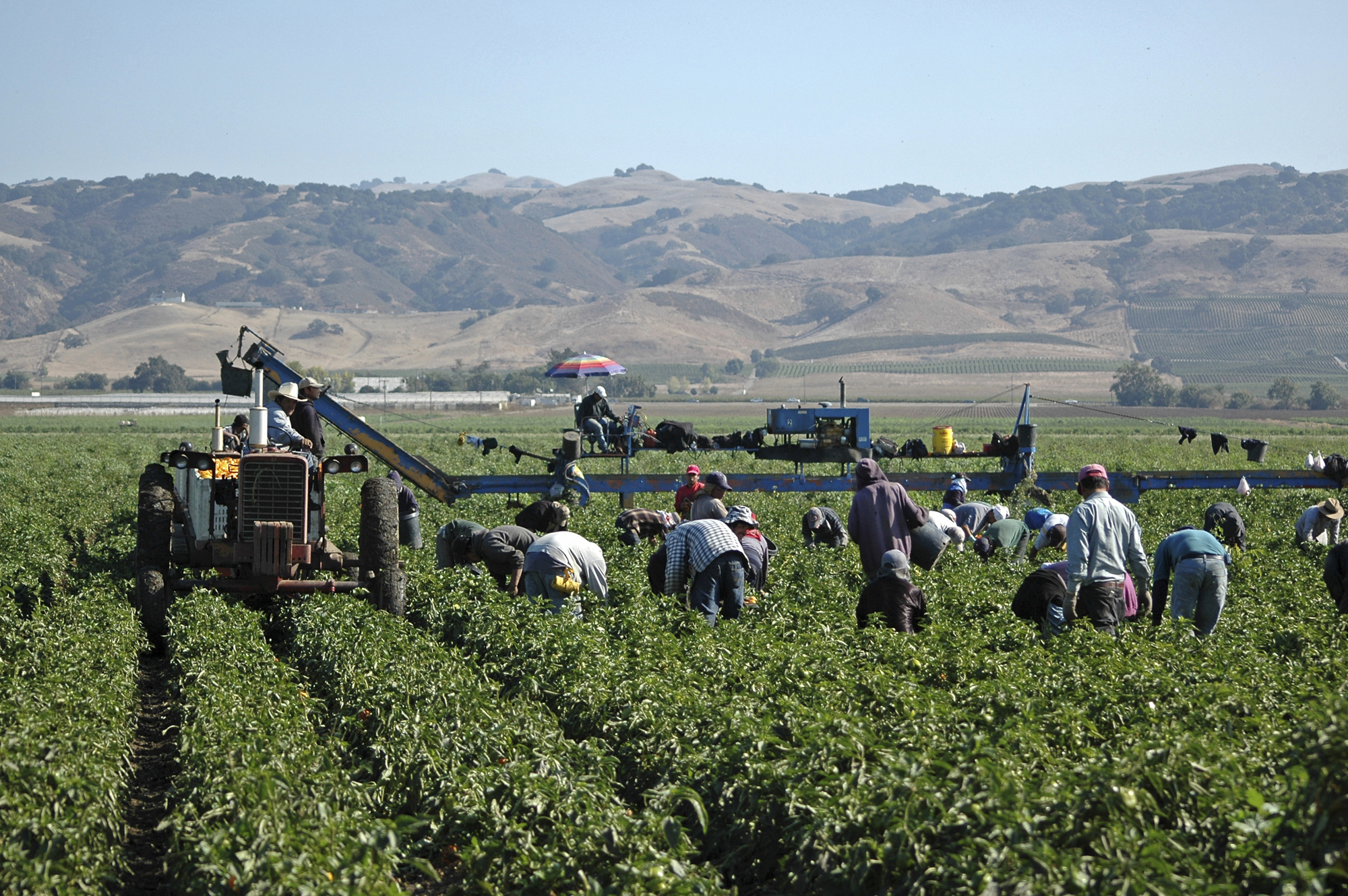 farmworkers.jpg