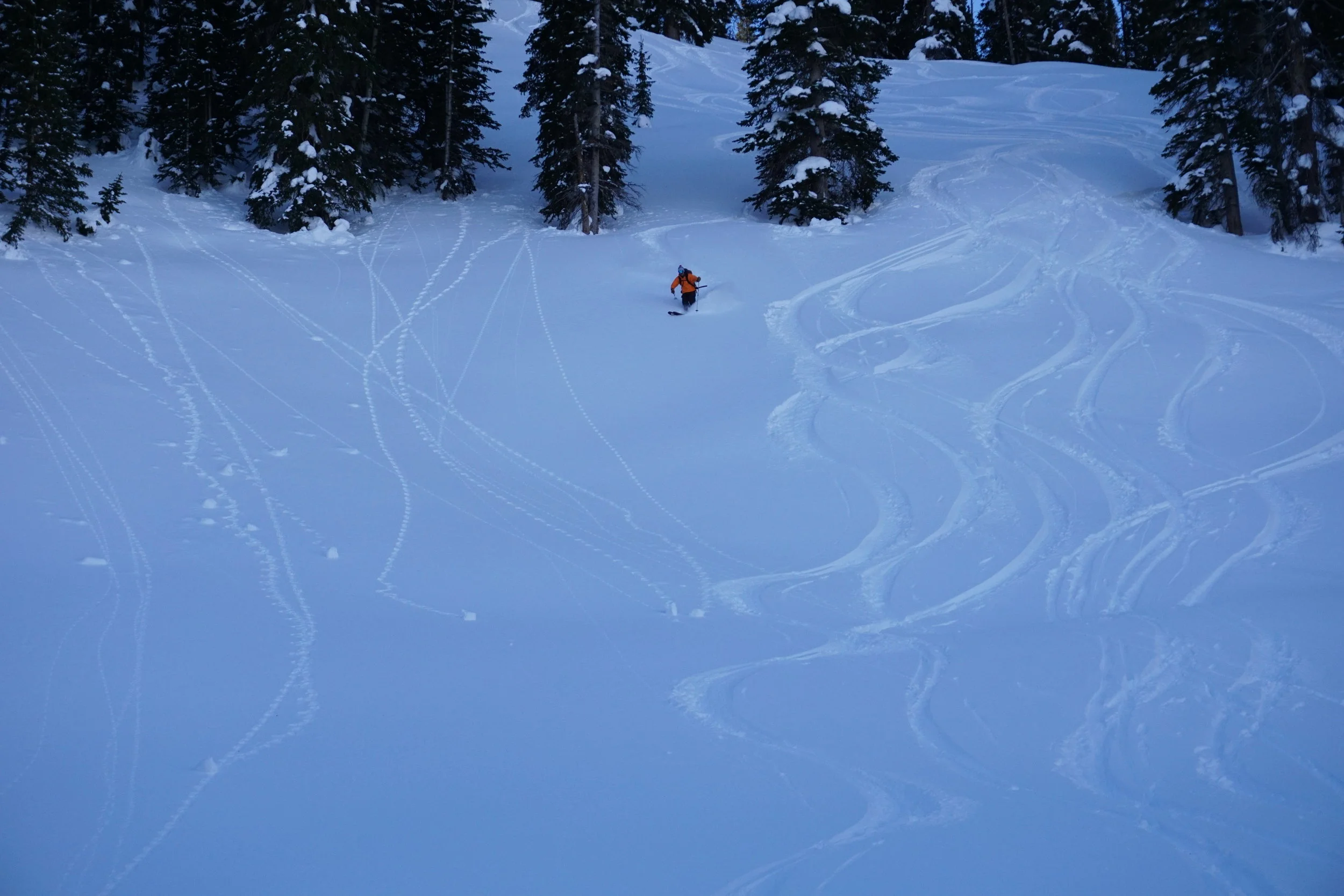 We found great snow up high.