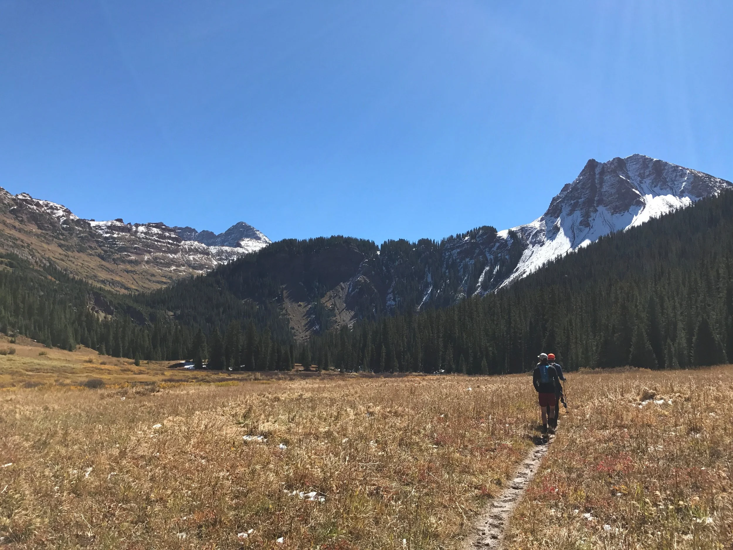 A nice respite from the snow and mud!