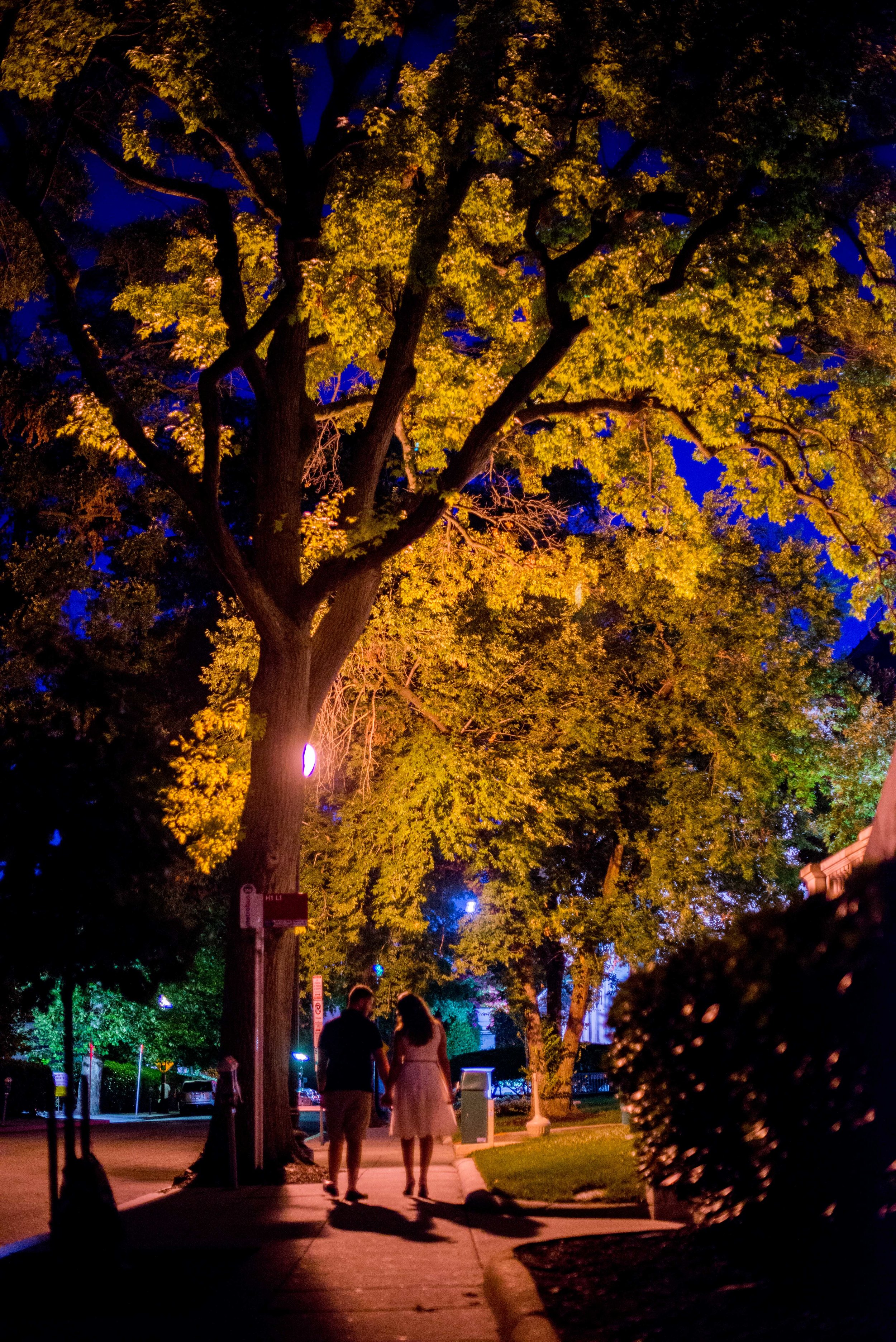 Farid&JaneneDCEngagement-215.jpg