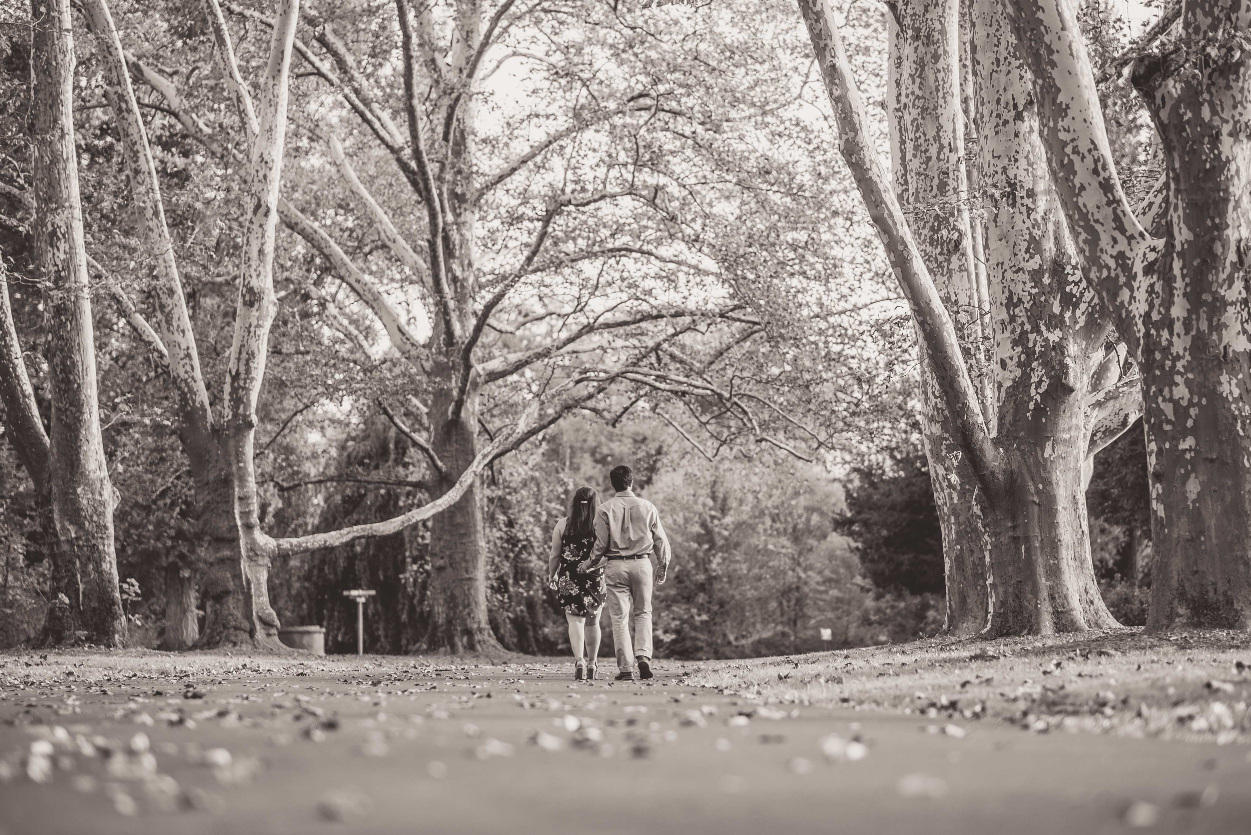 Tom&GinaEngagedDukeFarms-38.jpg