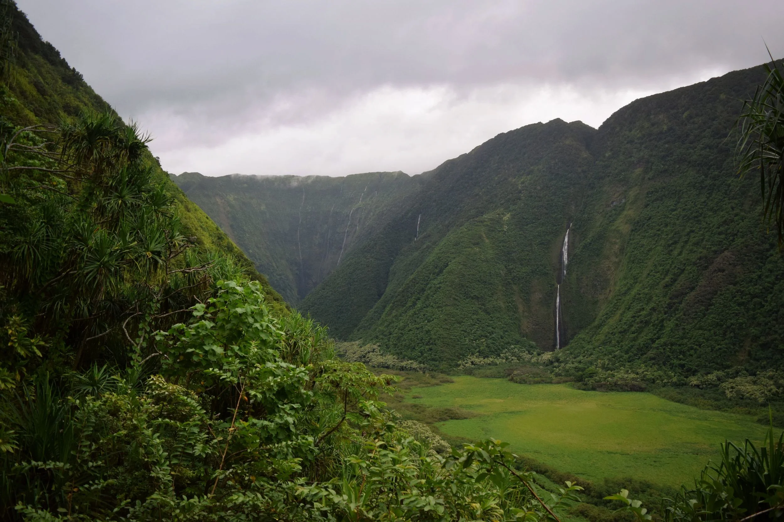 DSC_0102a.jpg