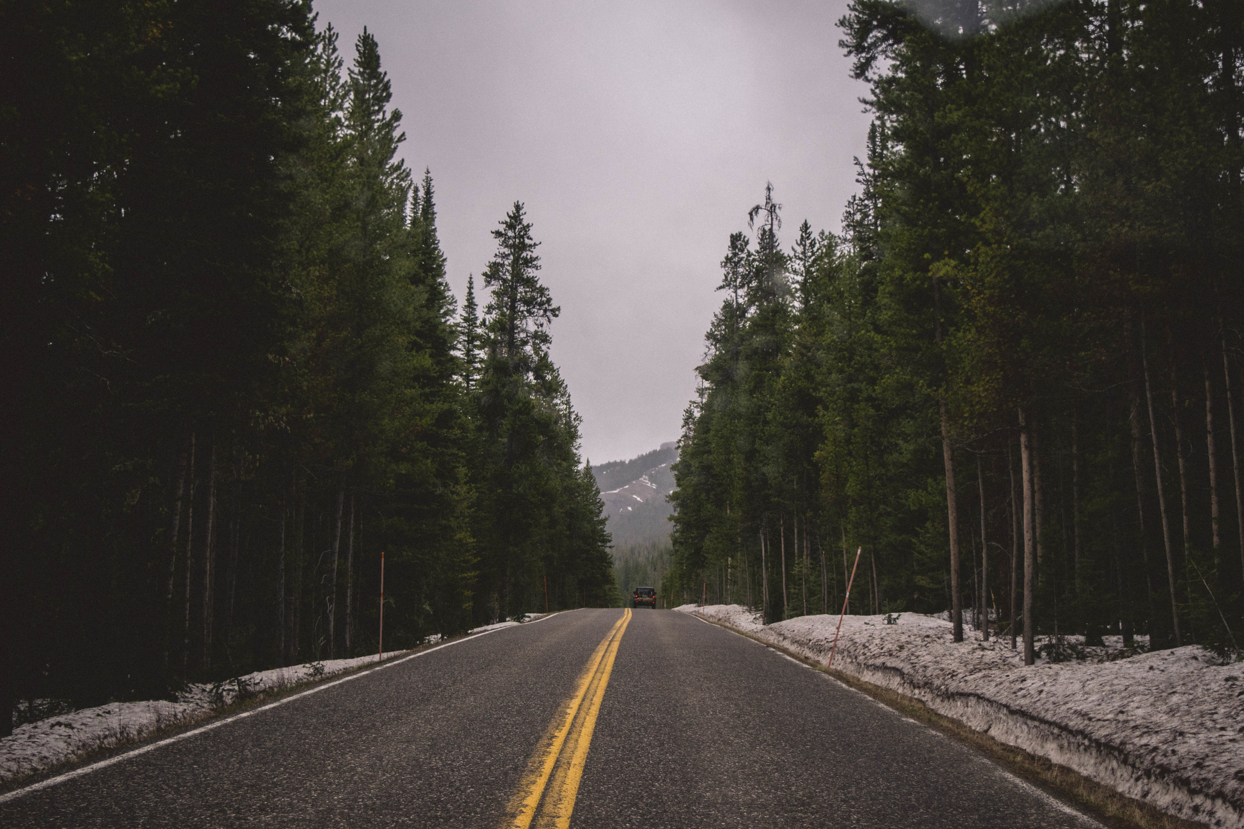 yellowstone