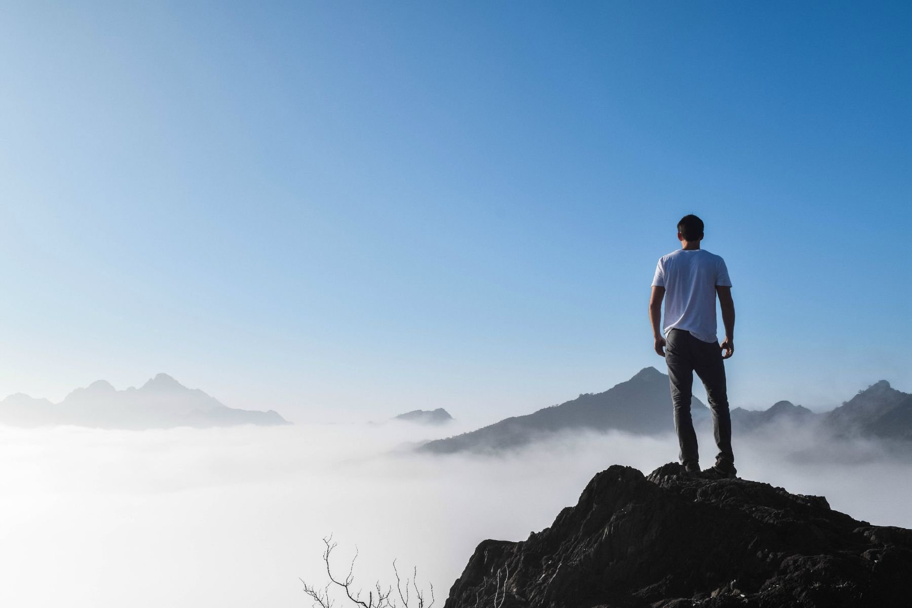 Why I Started The Living Theory