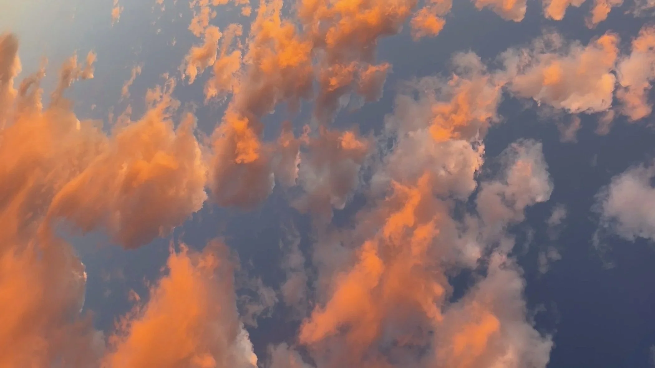 Collected Goodness.jpg