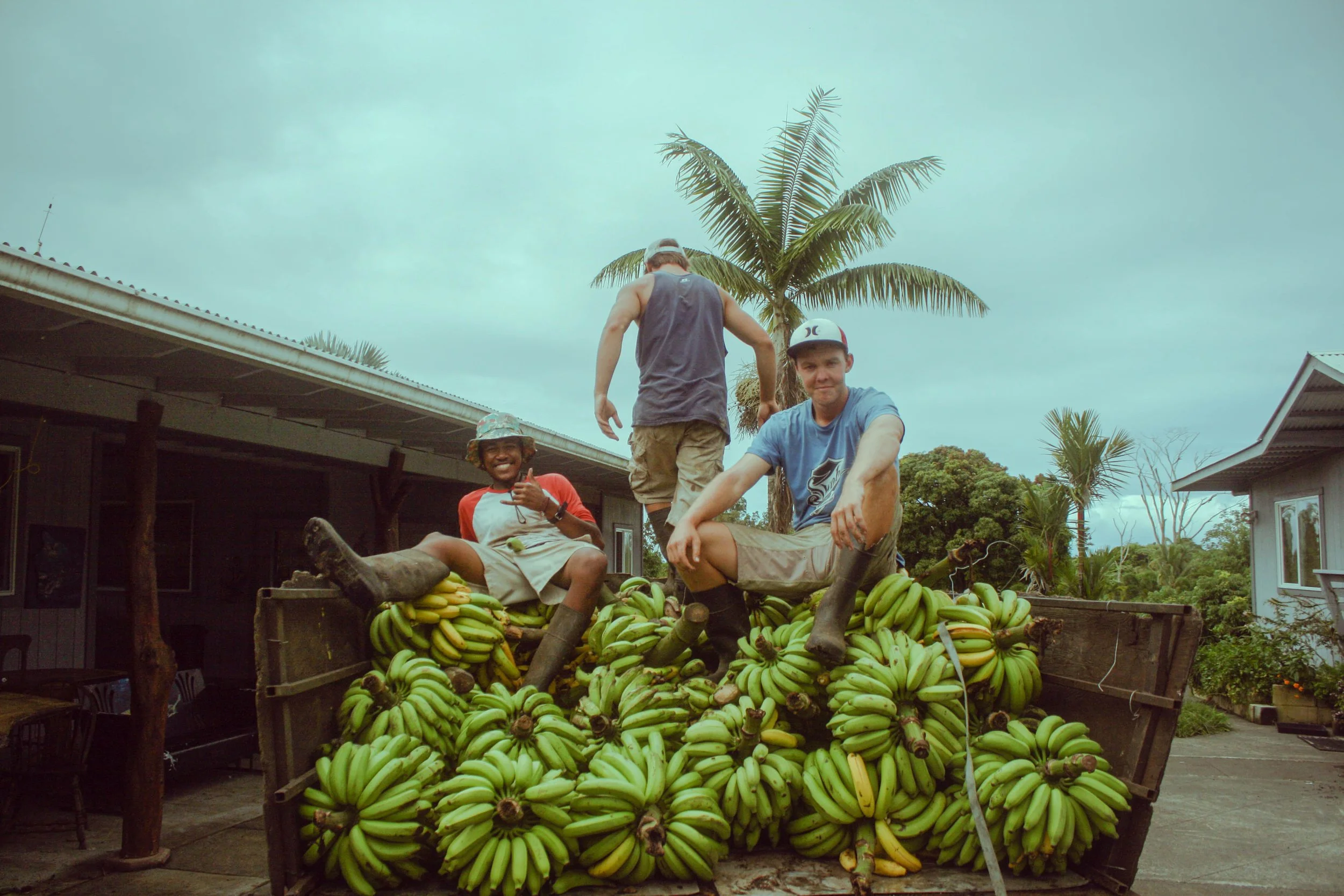 "How Did I Get Here?"