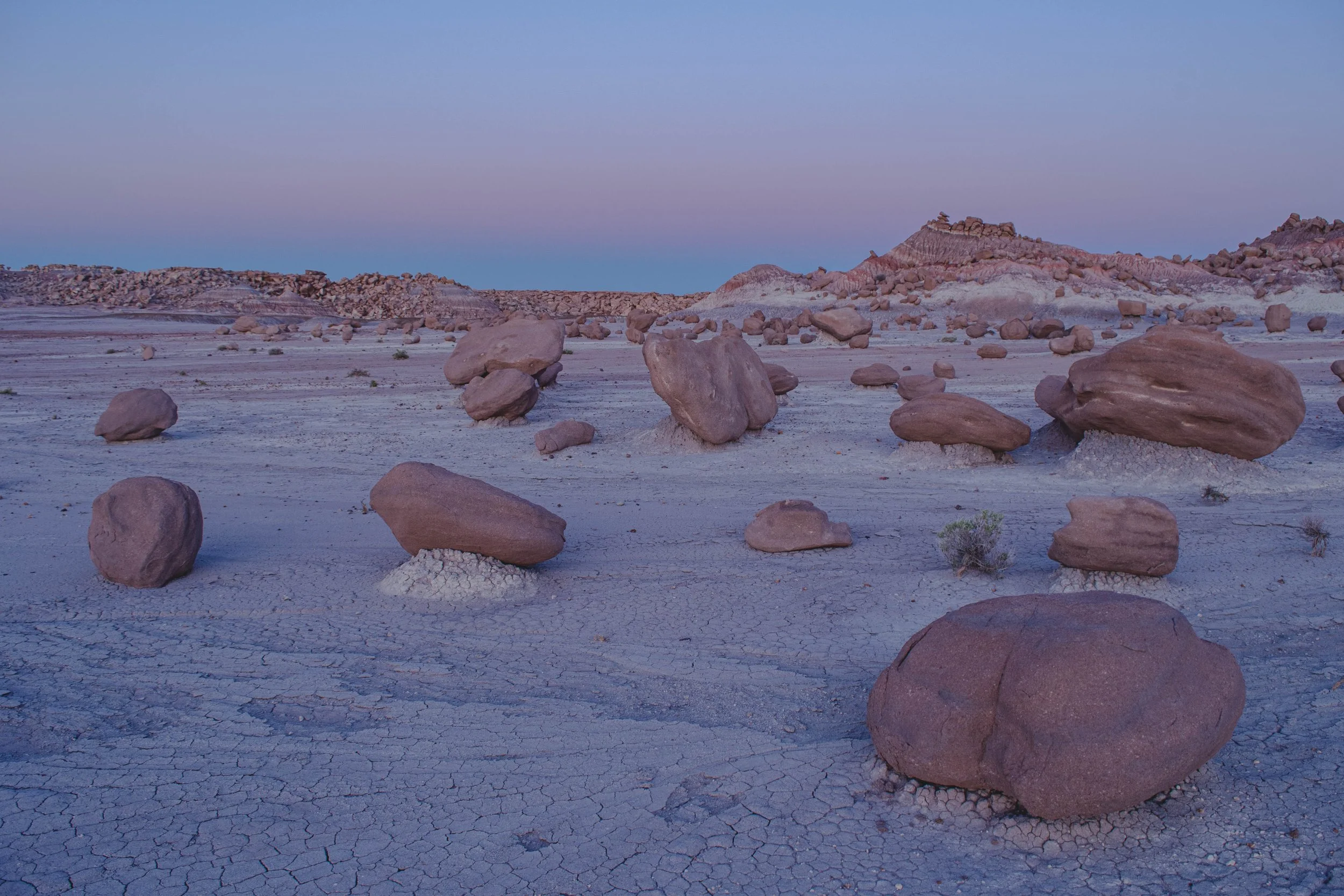 DSC_4091.jpg
