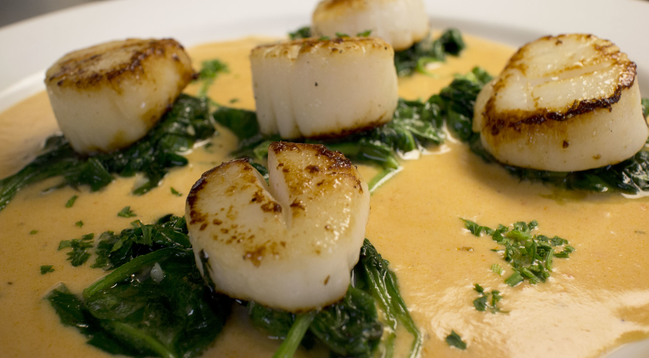 scallops2.jpg