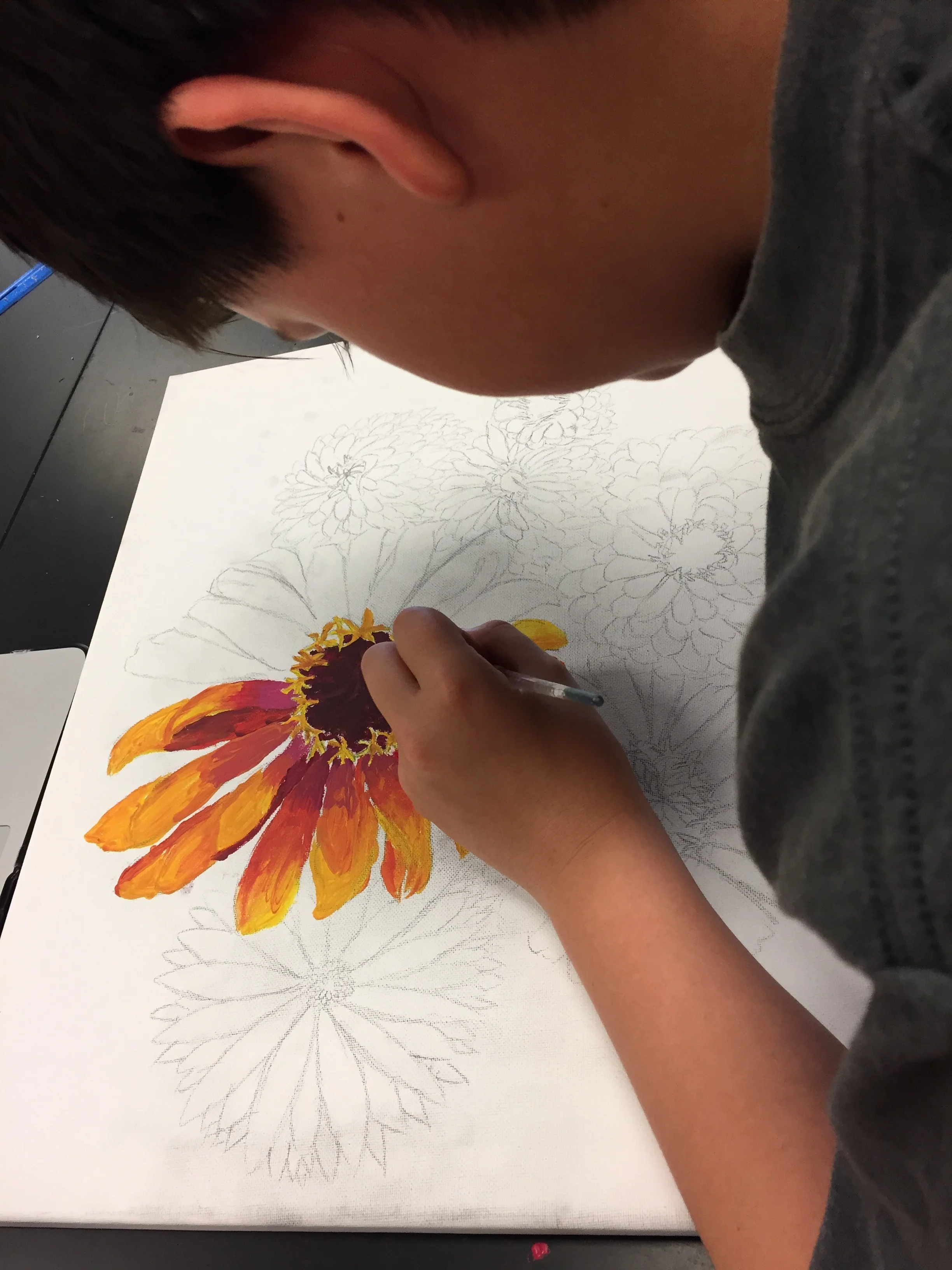 7th Grade Student working on Zinnias. Photo by Melody Weintraub