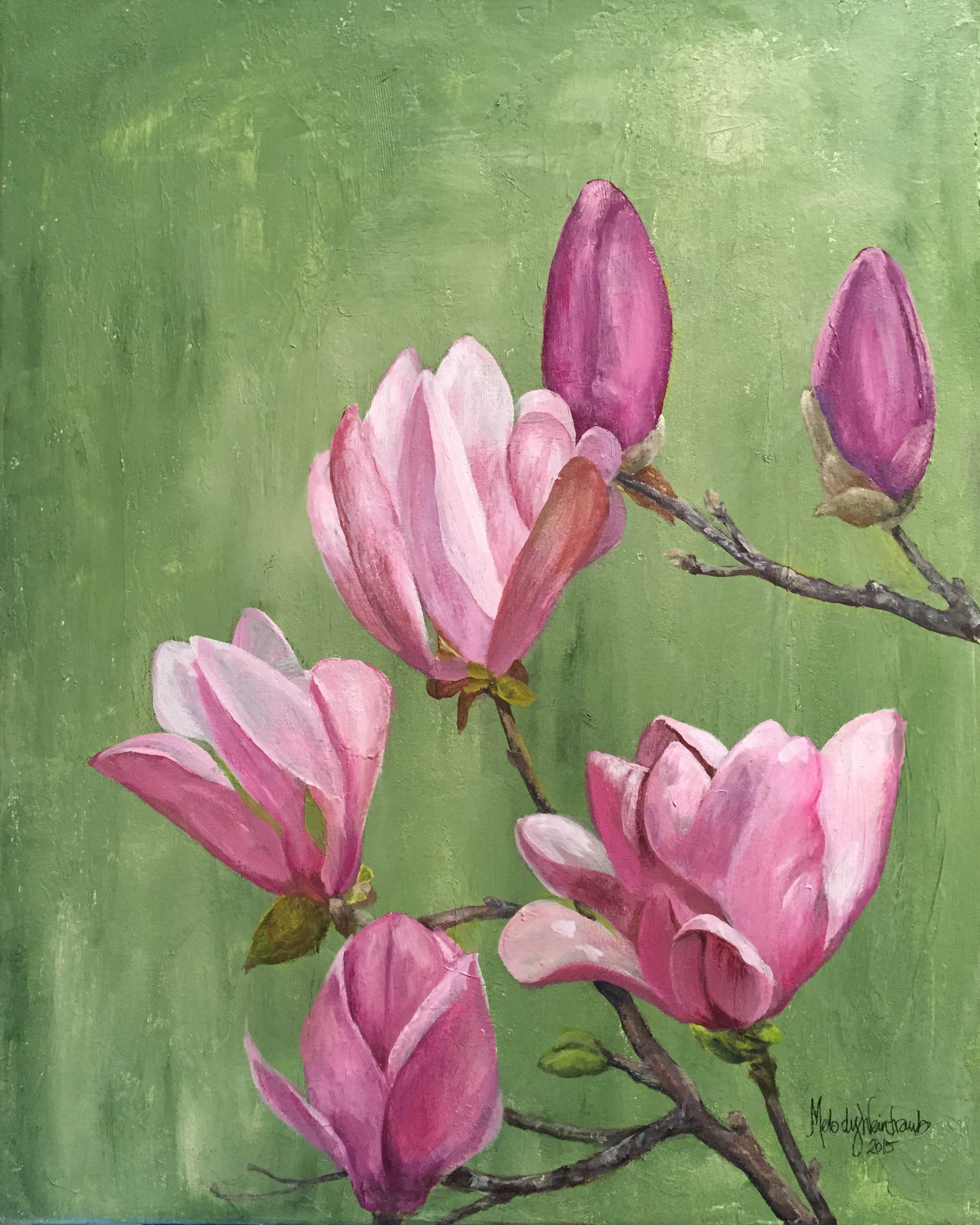 Tulip Tree Blossoms