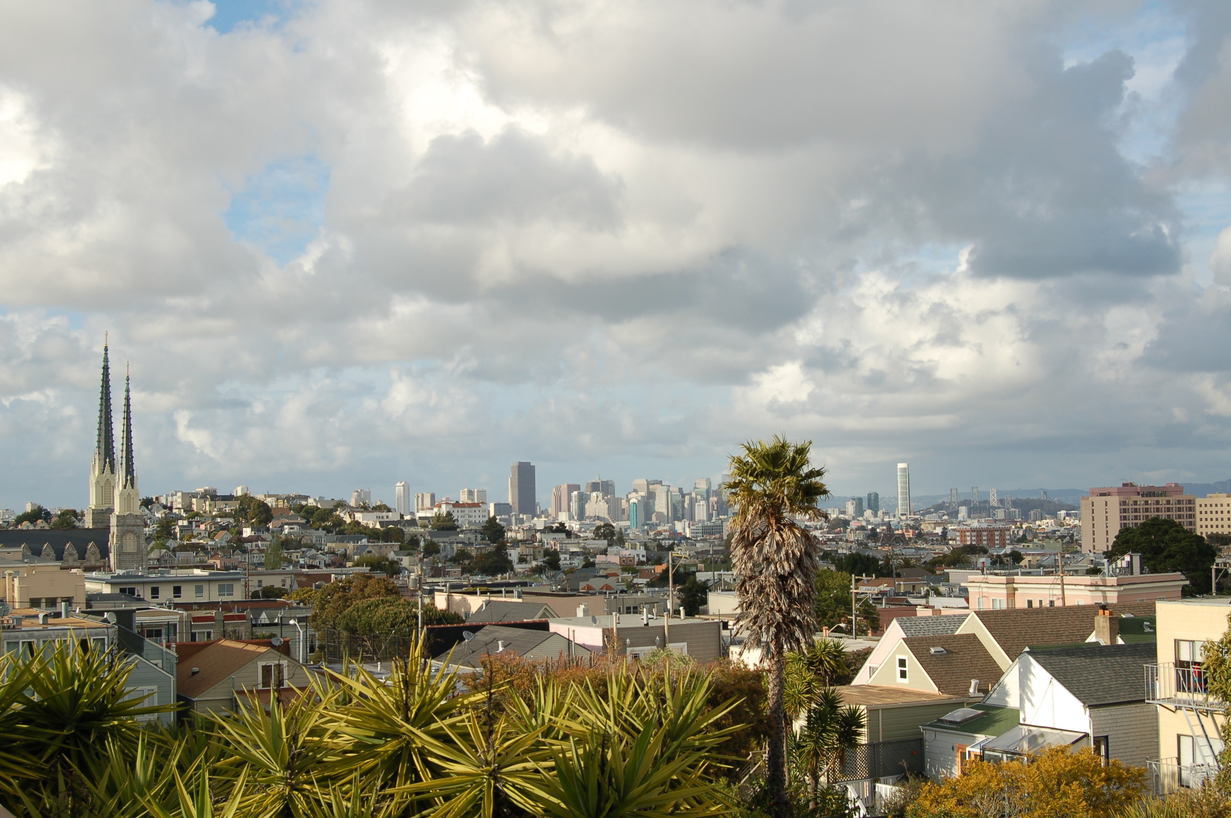 City View.jpg