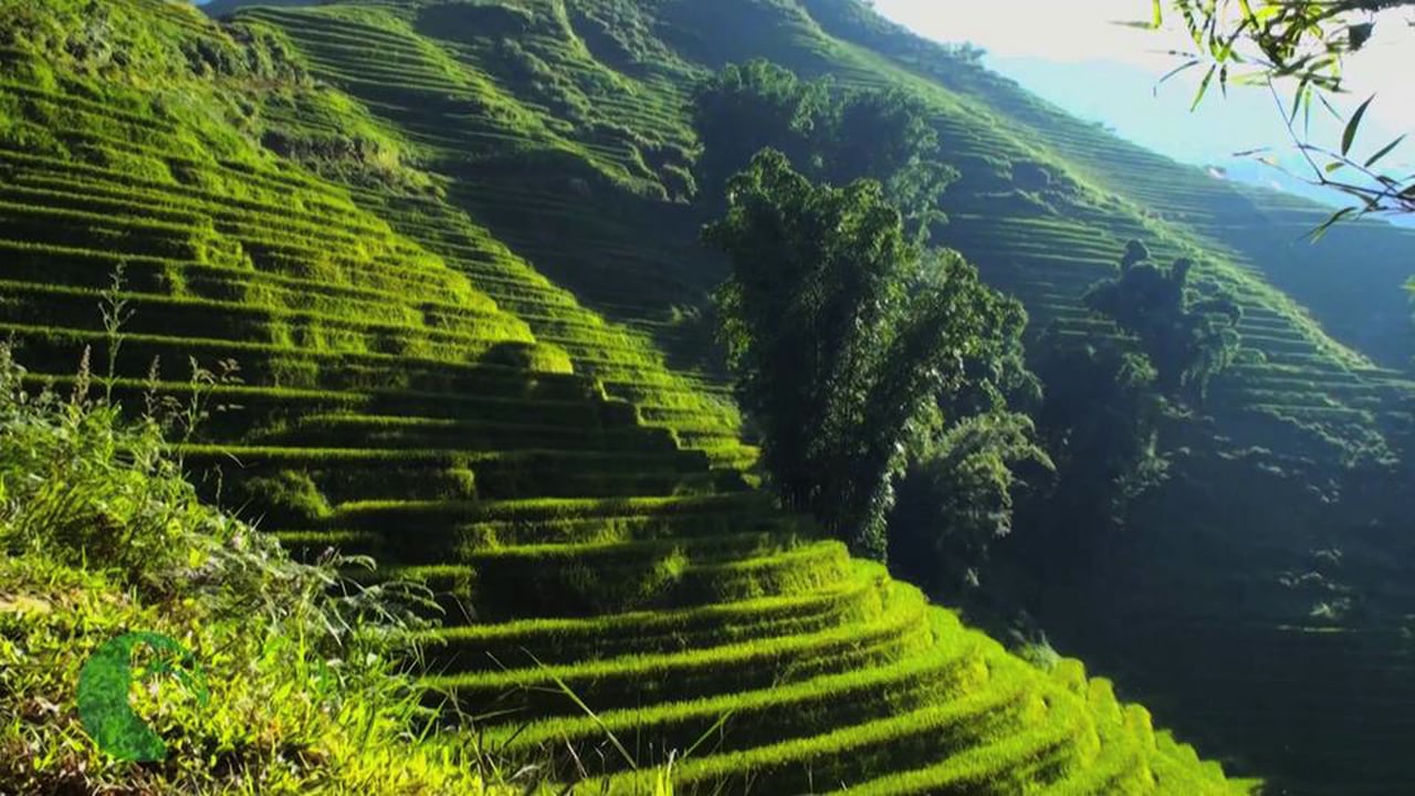 About Footprint Travel