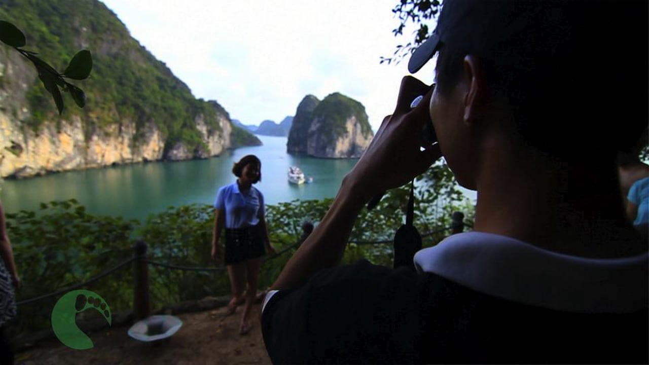 Kayak & Cruise Tours