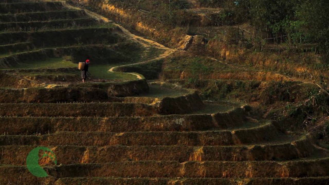 Footprint Vietnam Travel - Trekking Tours