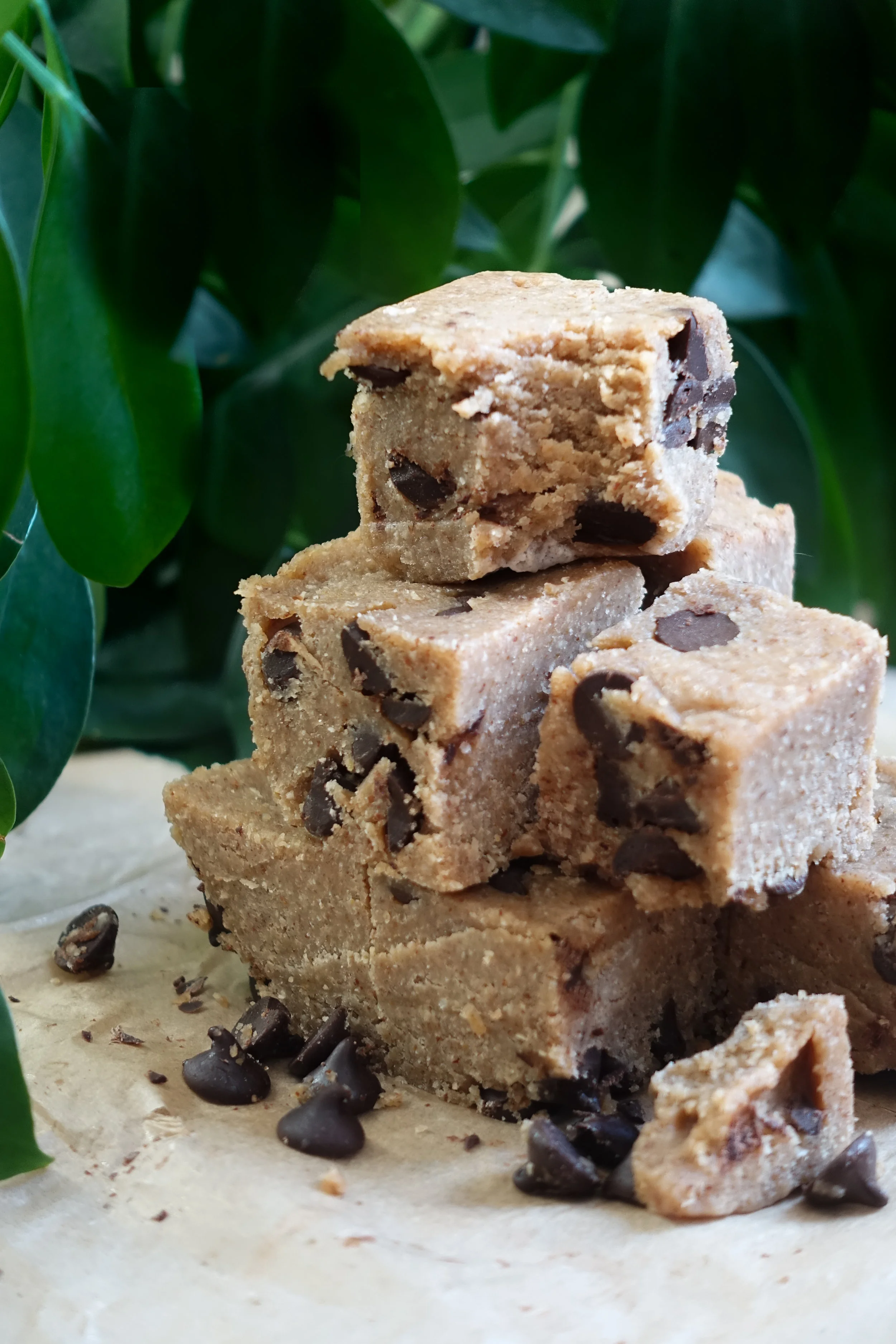 wholeearthcookiedoughfudge1