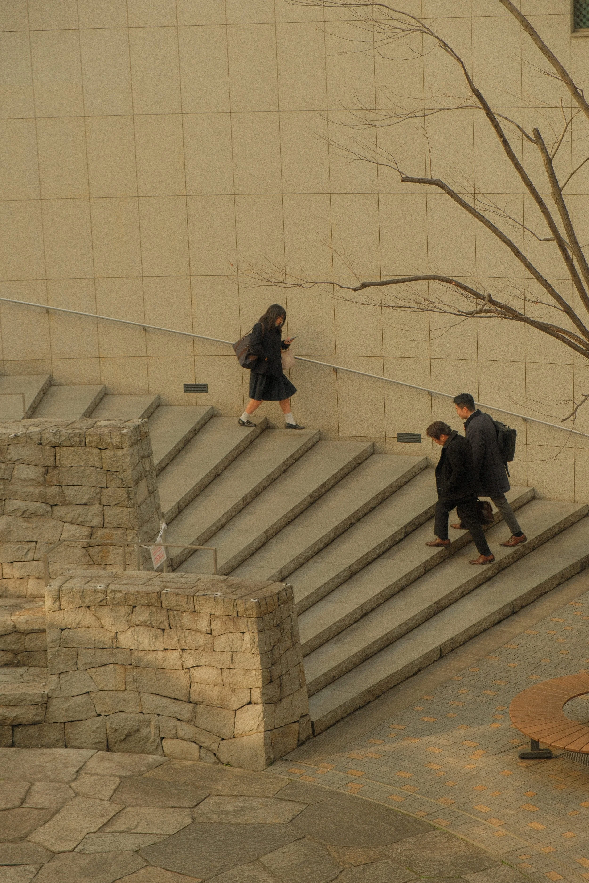 Three people descending outdoor stone stairs beside a beige wall, with a leafless tree overhead.
