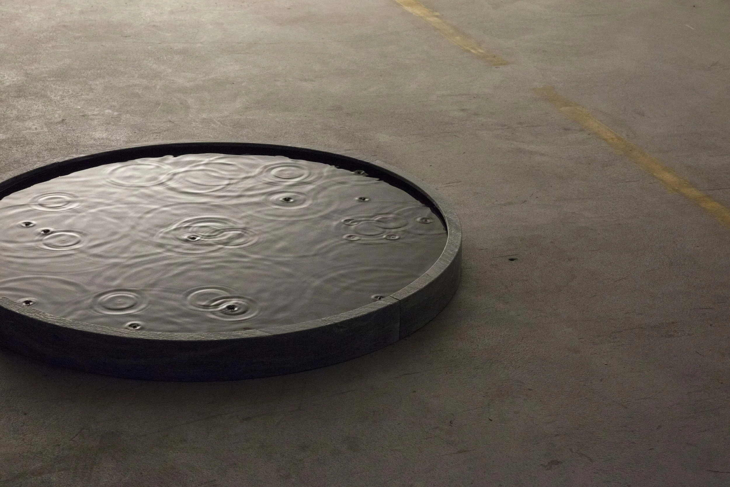 Art Carouge |&nbsp;Nov Gallery