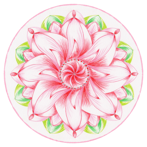 Rose Pink Mandala (BW001)