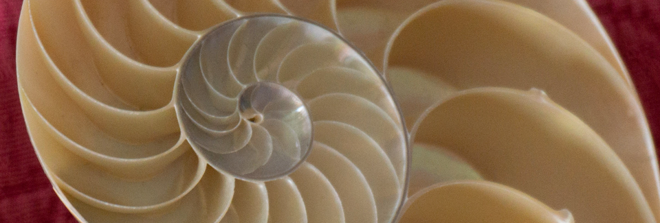 What Is Reiki Good For?