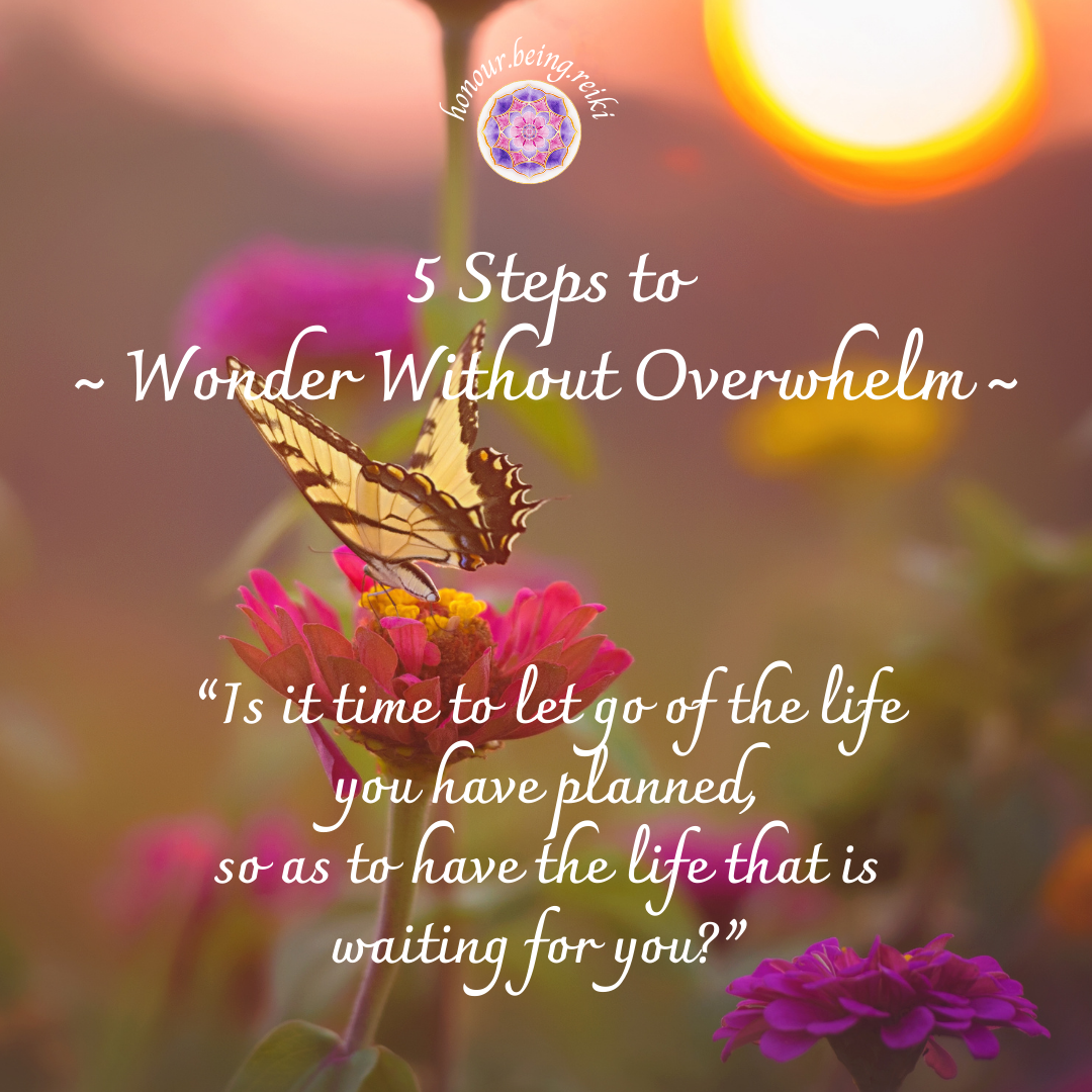 5 Step Guide To Wonder Without Overwhelm (Elizabeth Chanter)