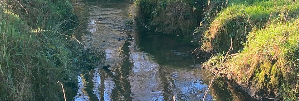 Emotional Release Reiki River in Wiltshire