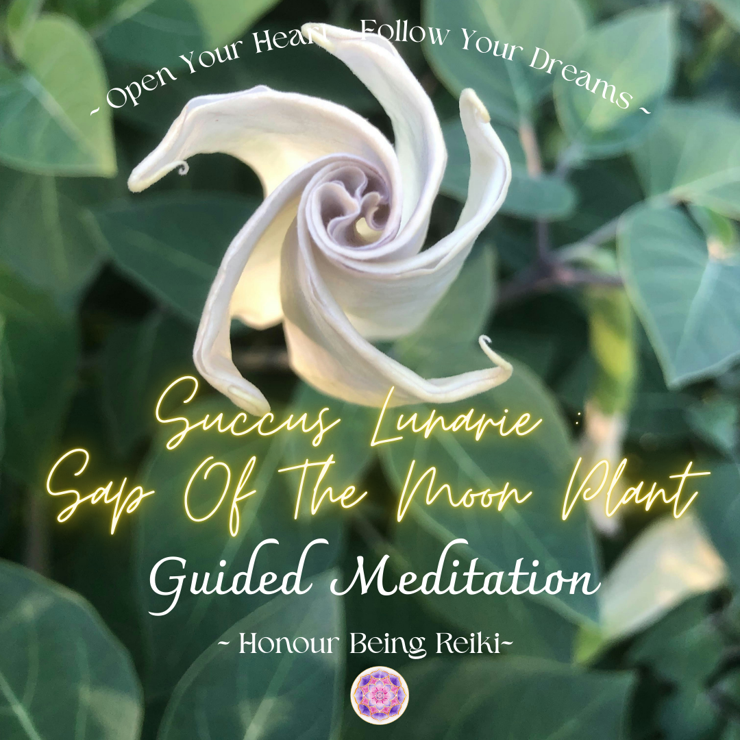Success Lunarie Wild Alchemy Guided Meditation by Honour Being Reiki