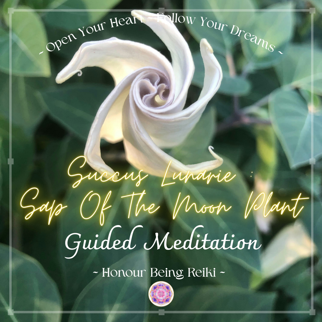 Sap Of The Moon Wild Alchemy Meditation Four