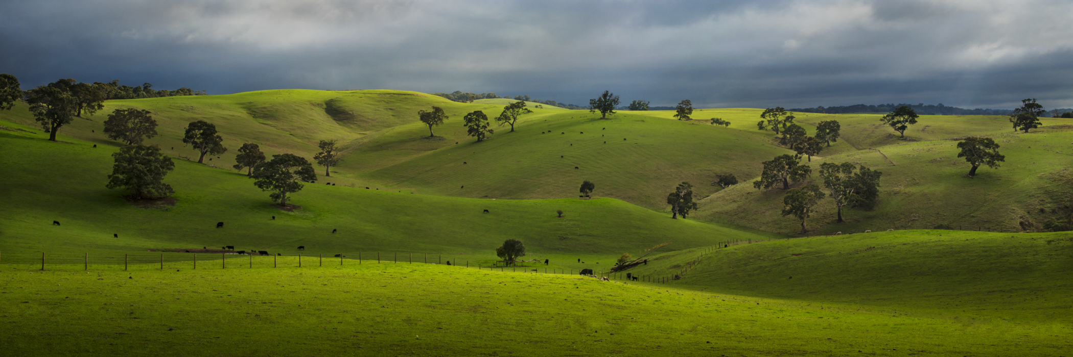 near Strathalbyn, SA, Australia