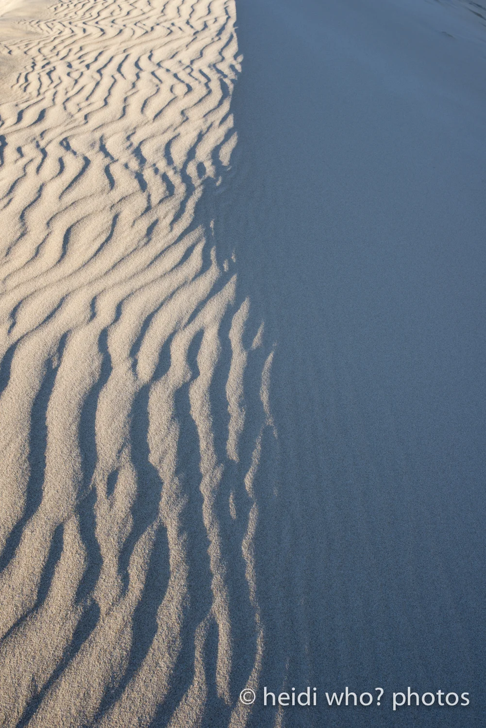 Another Kangaroo Island fling. 