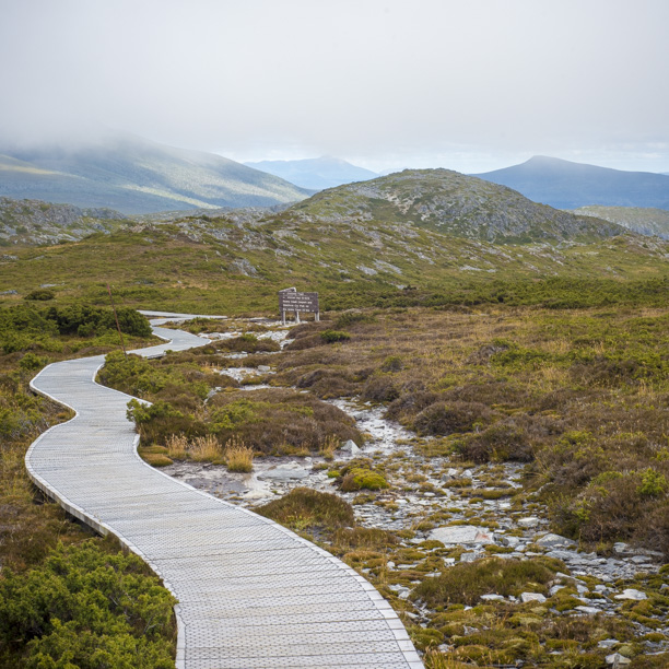 Hiking luxury, the boardwalks.