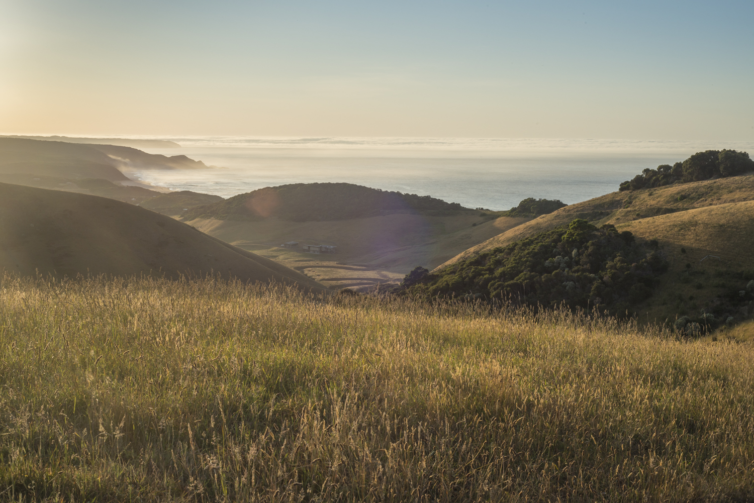 The most beautiful view back to Johanna Beach over farmland.