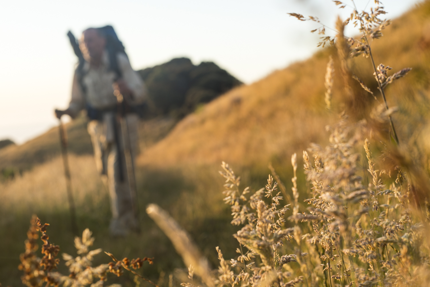 The early morning start to try and beat most of the hot weather. Just west of Johanna Beach.