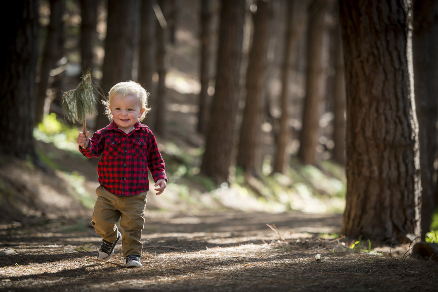 Back light makes it feel light and soft - even in a dark forest. It also draws attention to the focus.