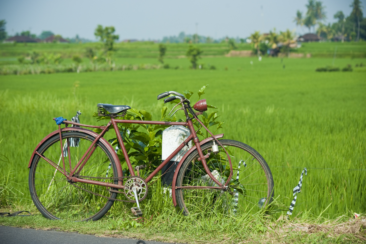 Foreground interest. Instead of photographing the rice field alone, I have added some life into it. The bike shows a way of transport, a way of life. It also adds depth and three dimension to the photograph. 