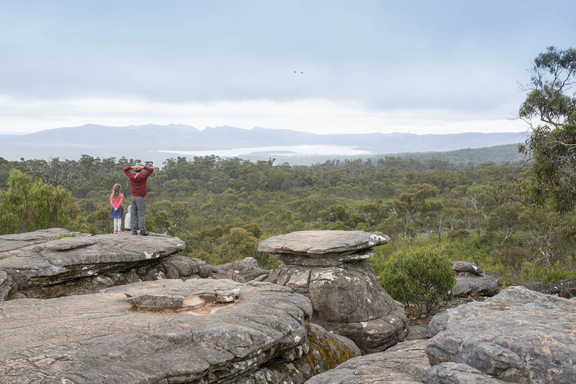 I took this photo while on a walk to The Balconies in the Grampians over our New Years travel. I love the symbolisation of endless possibility. Looking forward. Being open to new opportunities. Moving forward together. And hey, step into the unknown - leap with faith and you will find your feet. Rocky roads lead to green pastures (or in this case, trees).