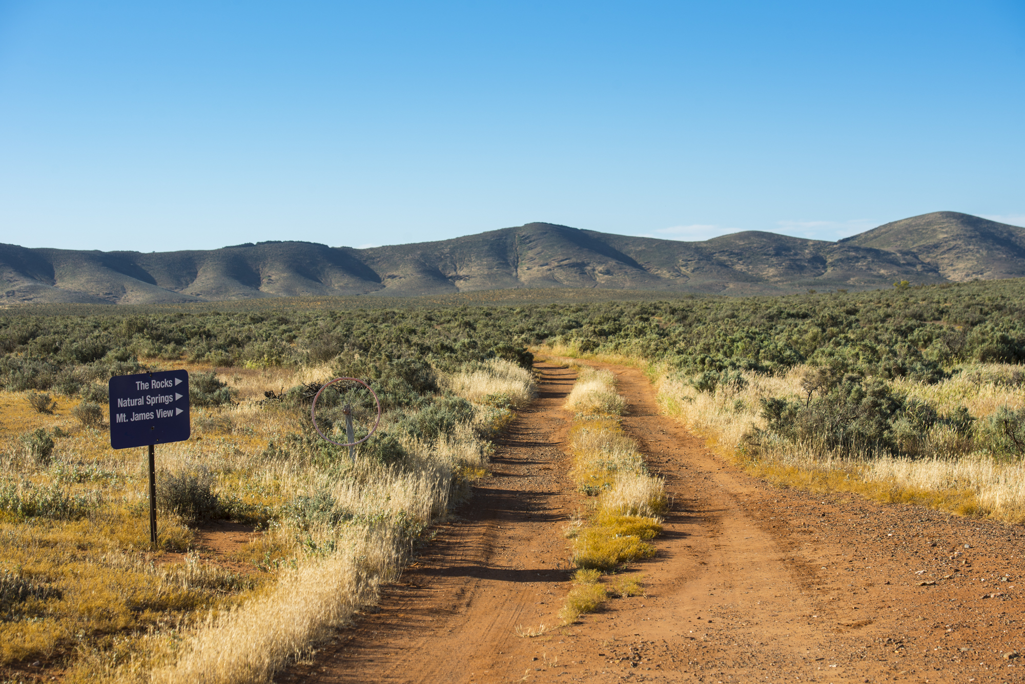 FlindersRanges011116-268.jpg