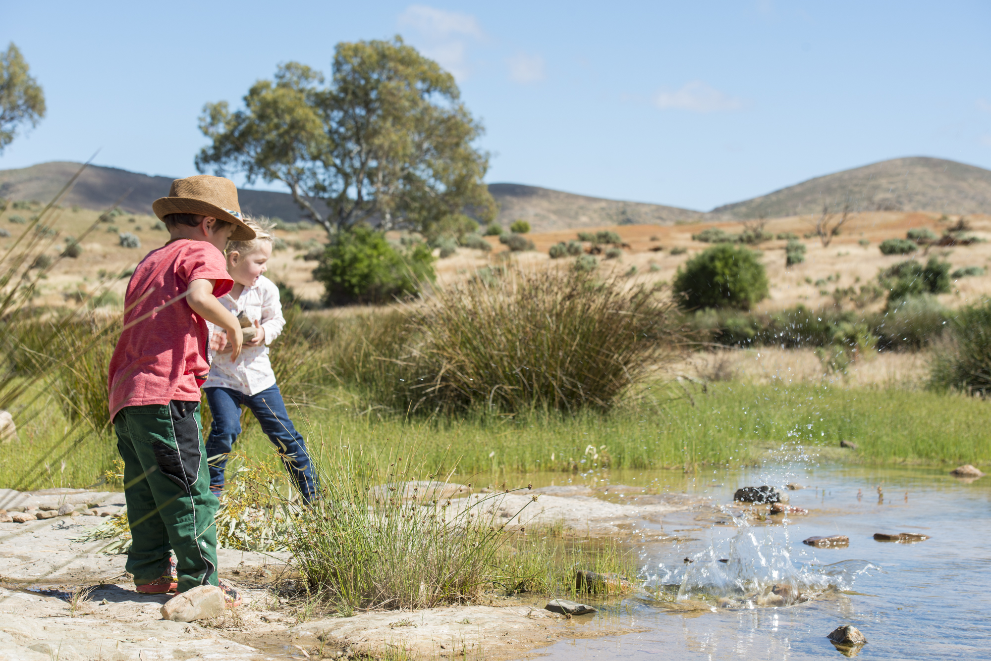 FlindersRanges011116-496.jpg