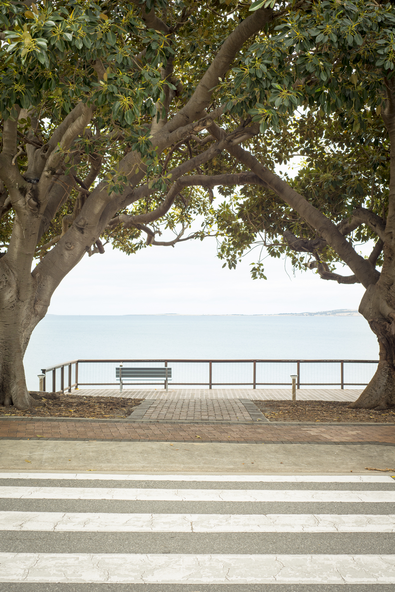 PortLincoln141116-43.jpg