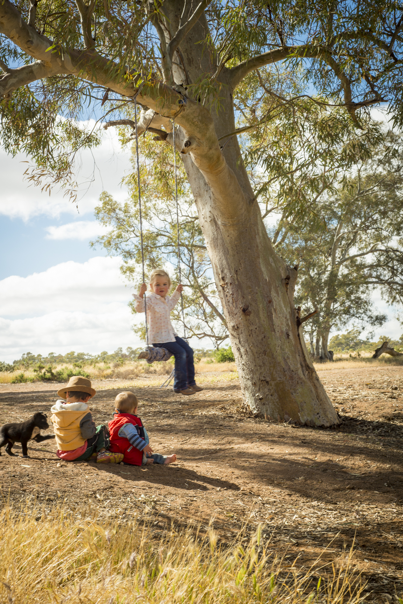 FlindersRanges011116-372.jpg